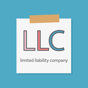 LLC company type